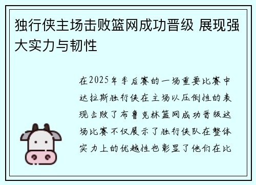 独行侠主场击败篮网成功晋级 展现强大实力与韧性