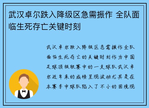 武汉卓尔跌入降级区急需振作 全队面临生死存亡关键时刻