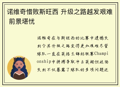诺维奇惜败斯旺西 升级之路越发艰难 前景堪忧